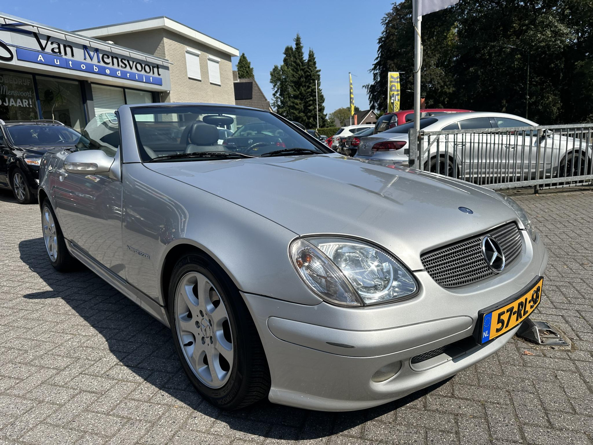 40023189-5.jpg