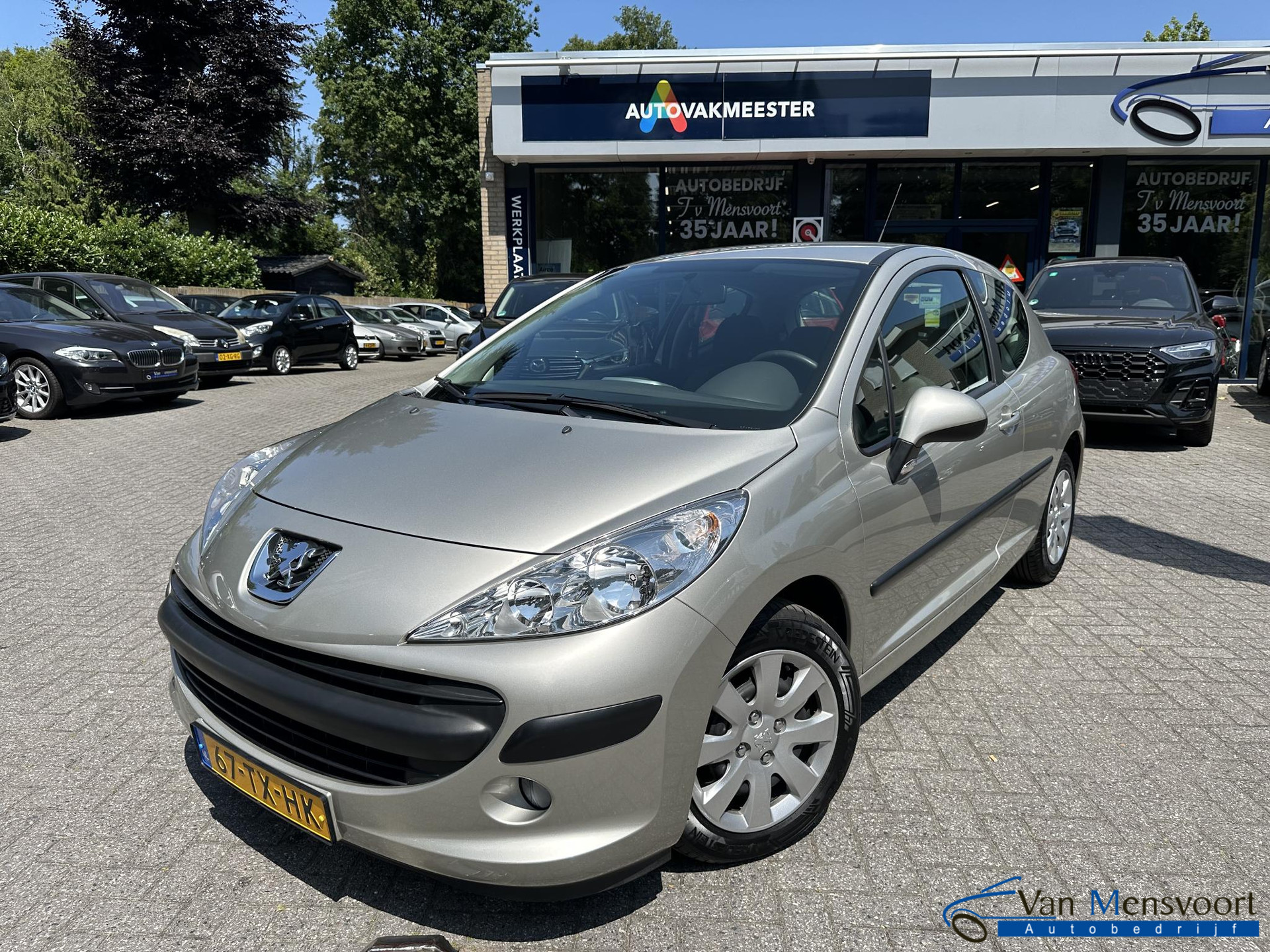 45862941