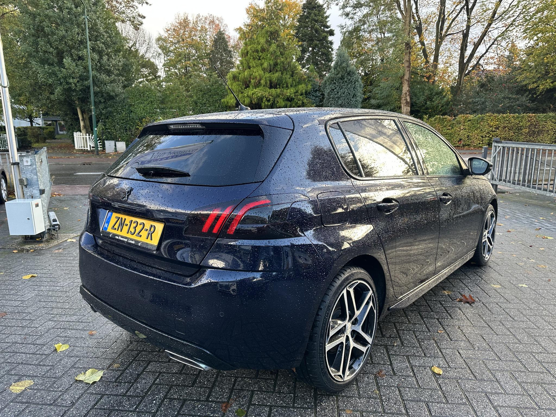 48699724-3.jpg