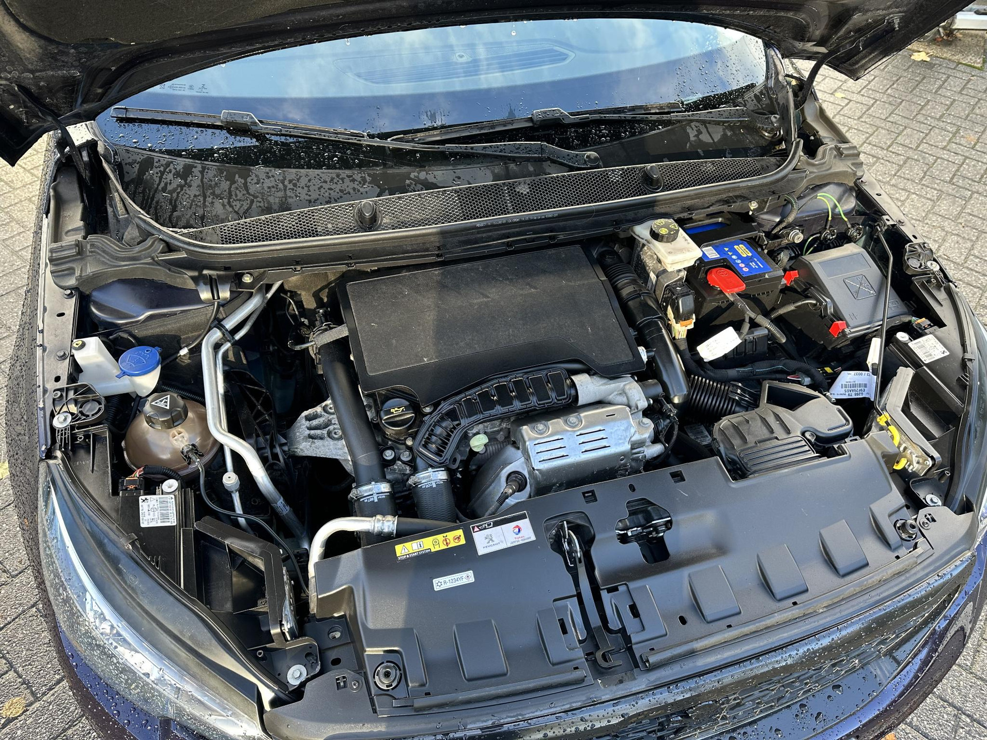 48699724-30.jpg