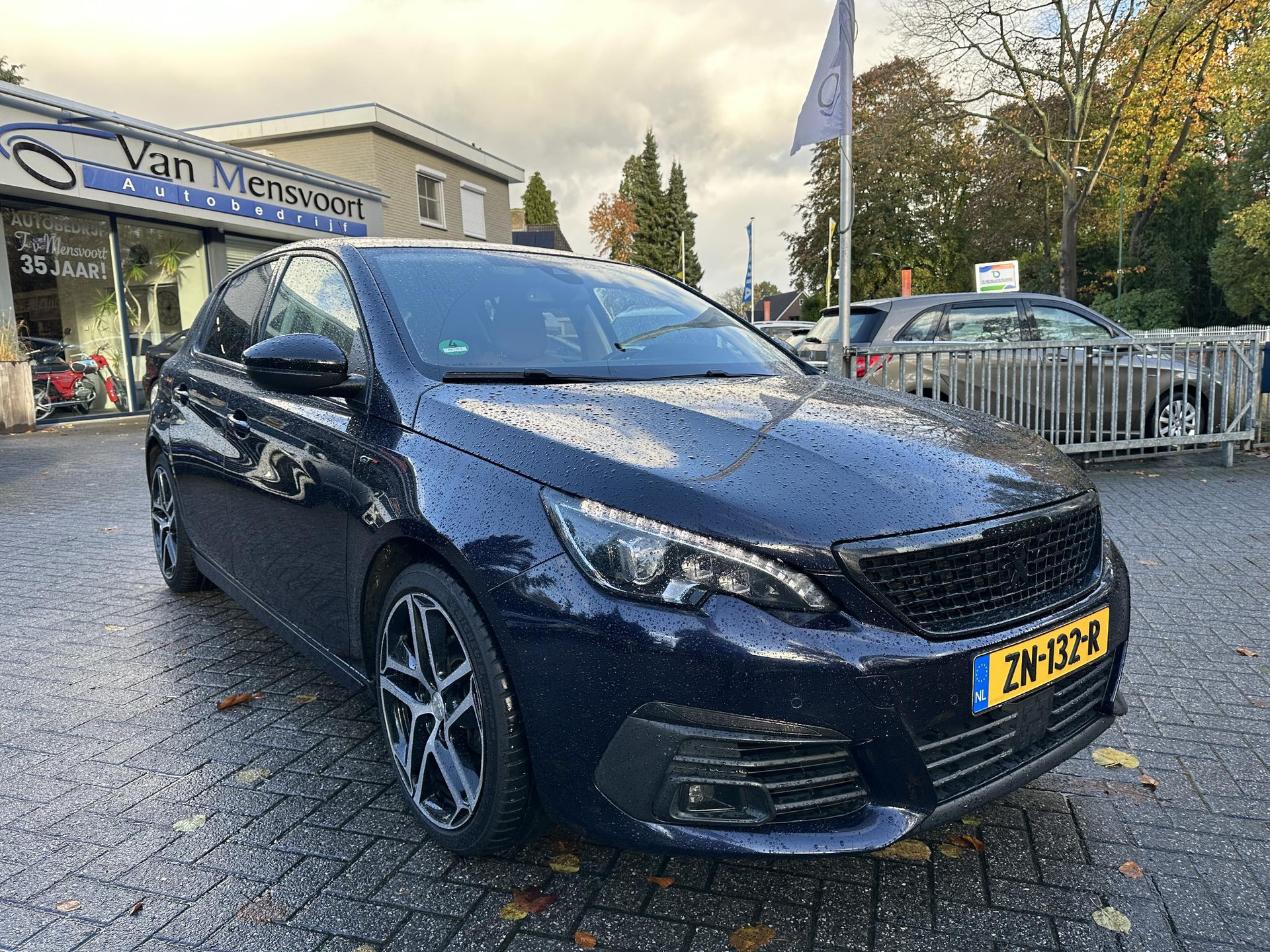 48699724-5.jpg