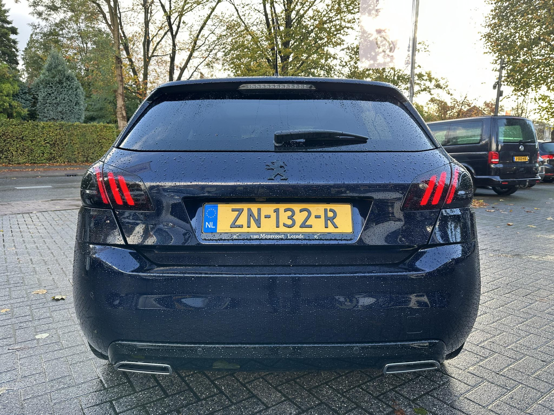 48699724-7.jpg