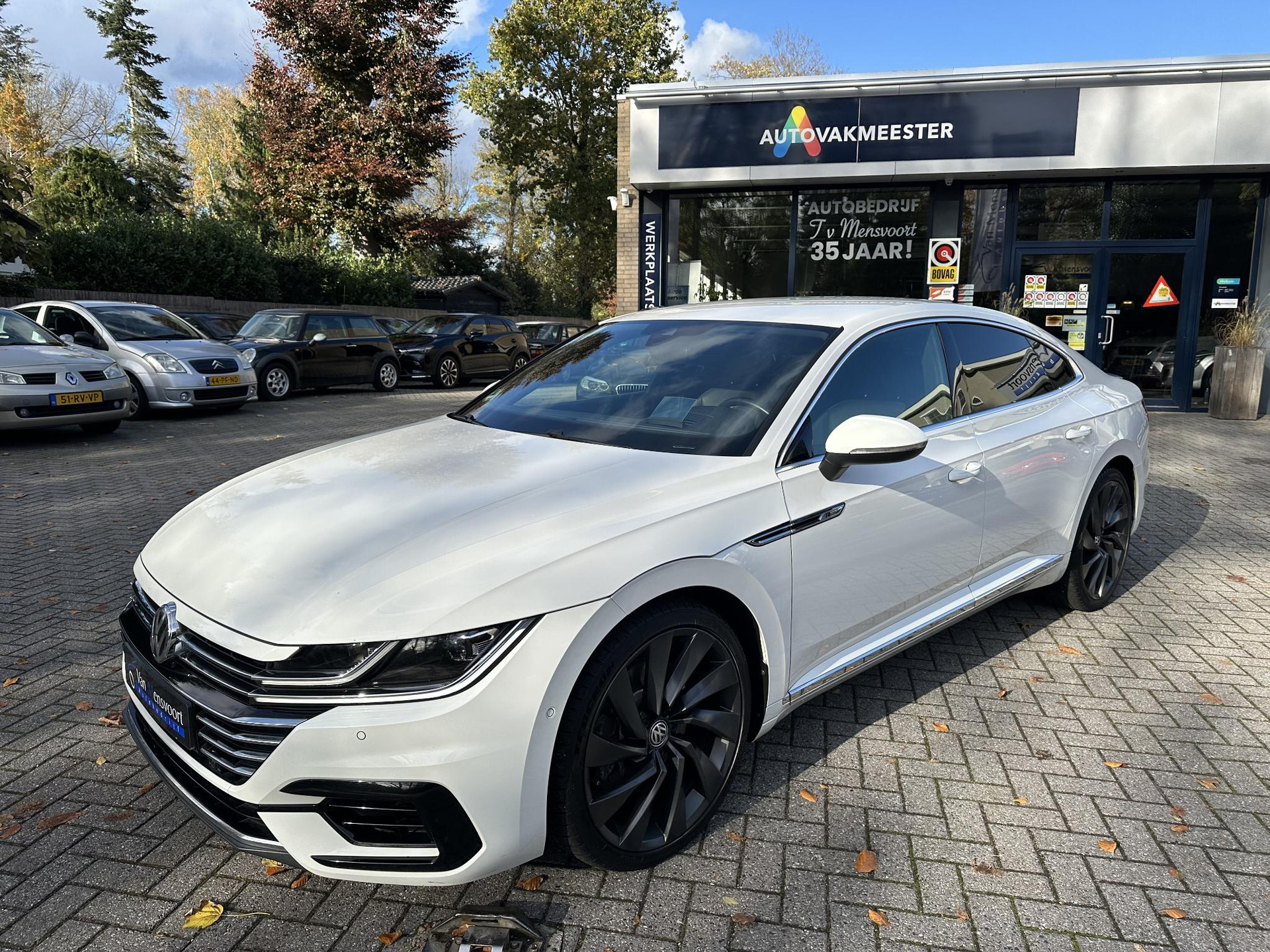 48890859-1.jpg