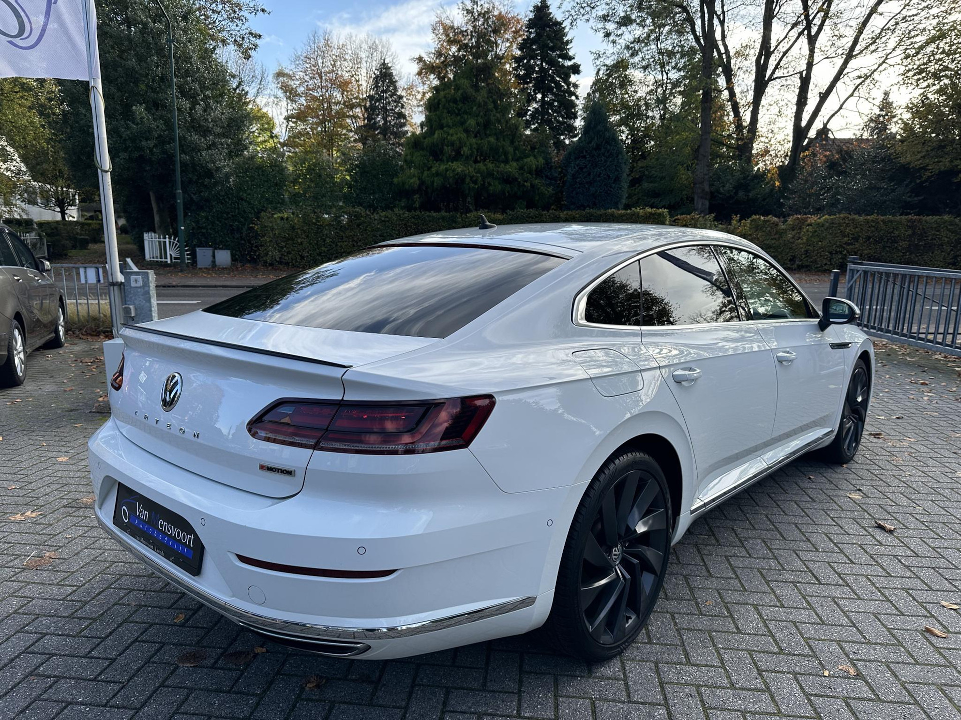 48890859-3.jpg