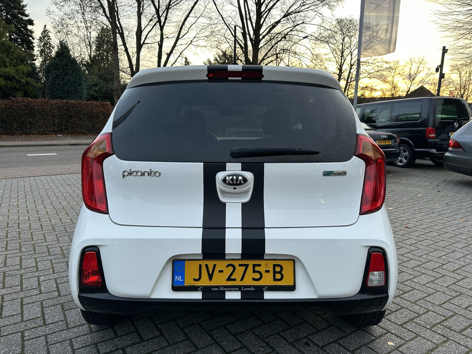 49892400-7.jpg