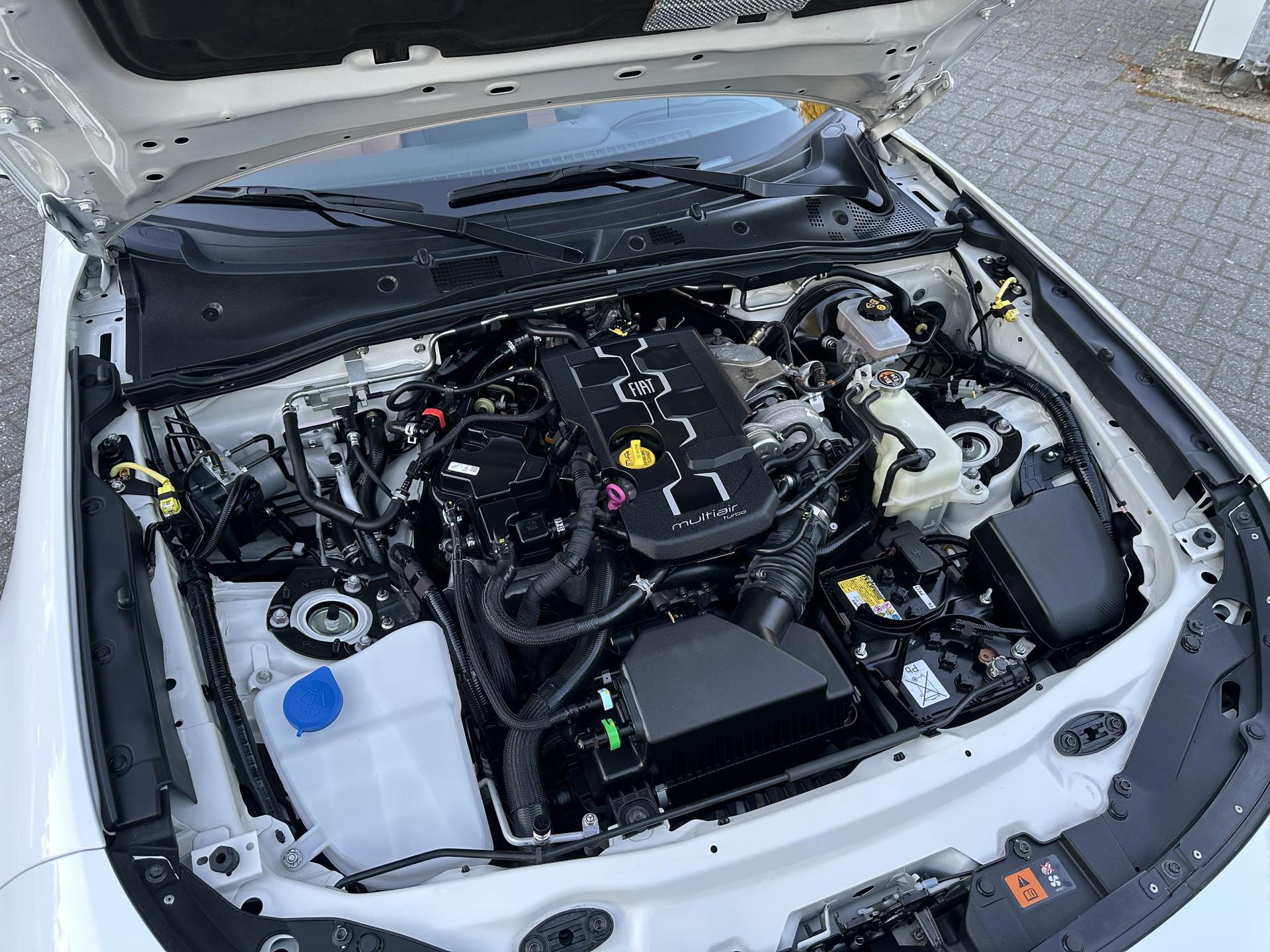 52485265-28.jpg