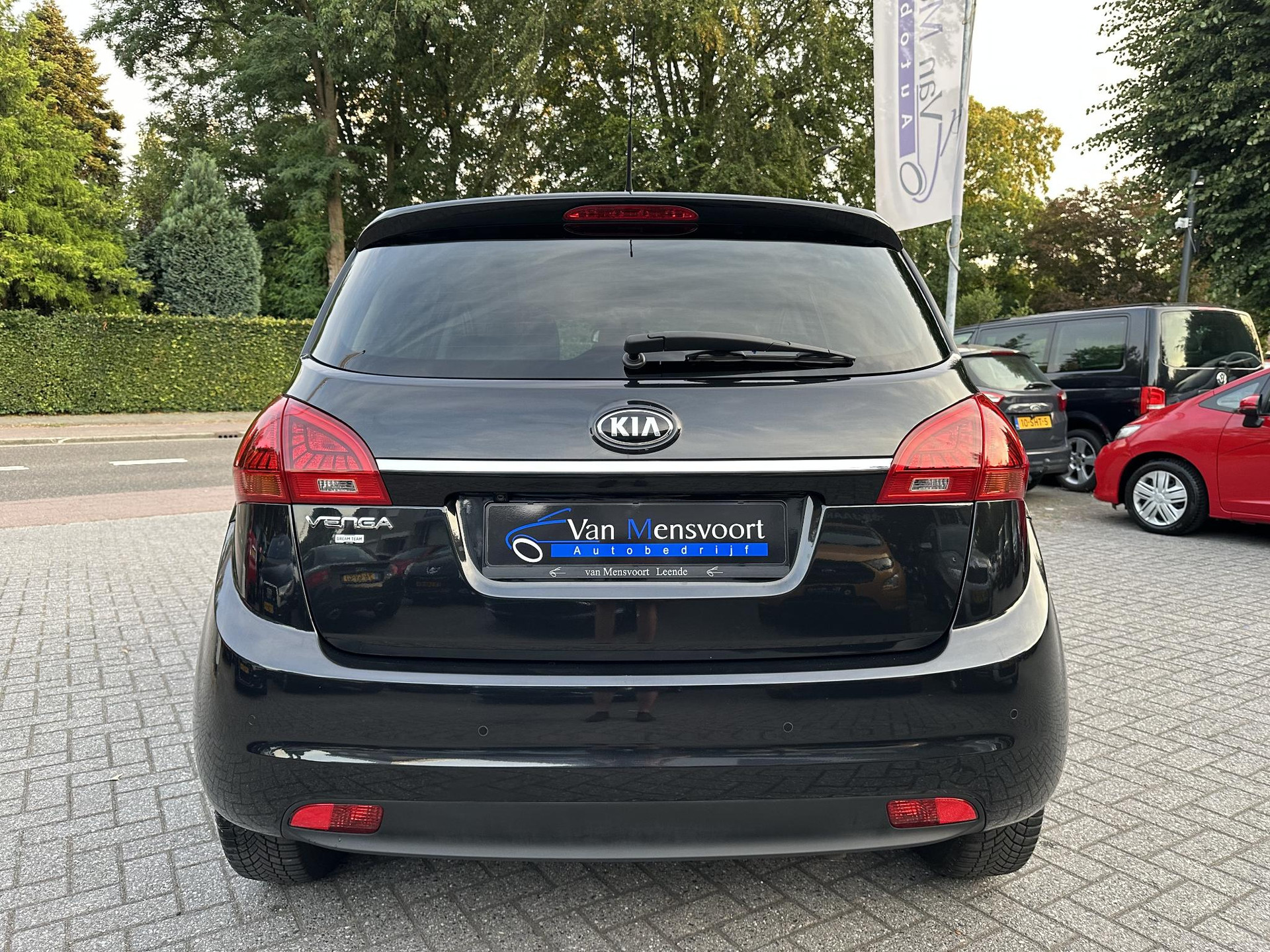 54939872-7.jpg