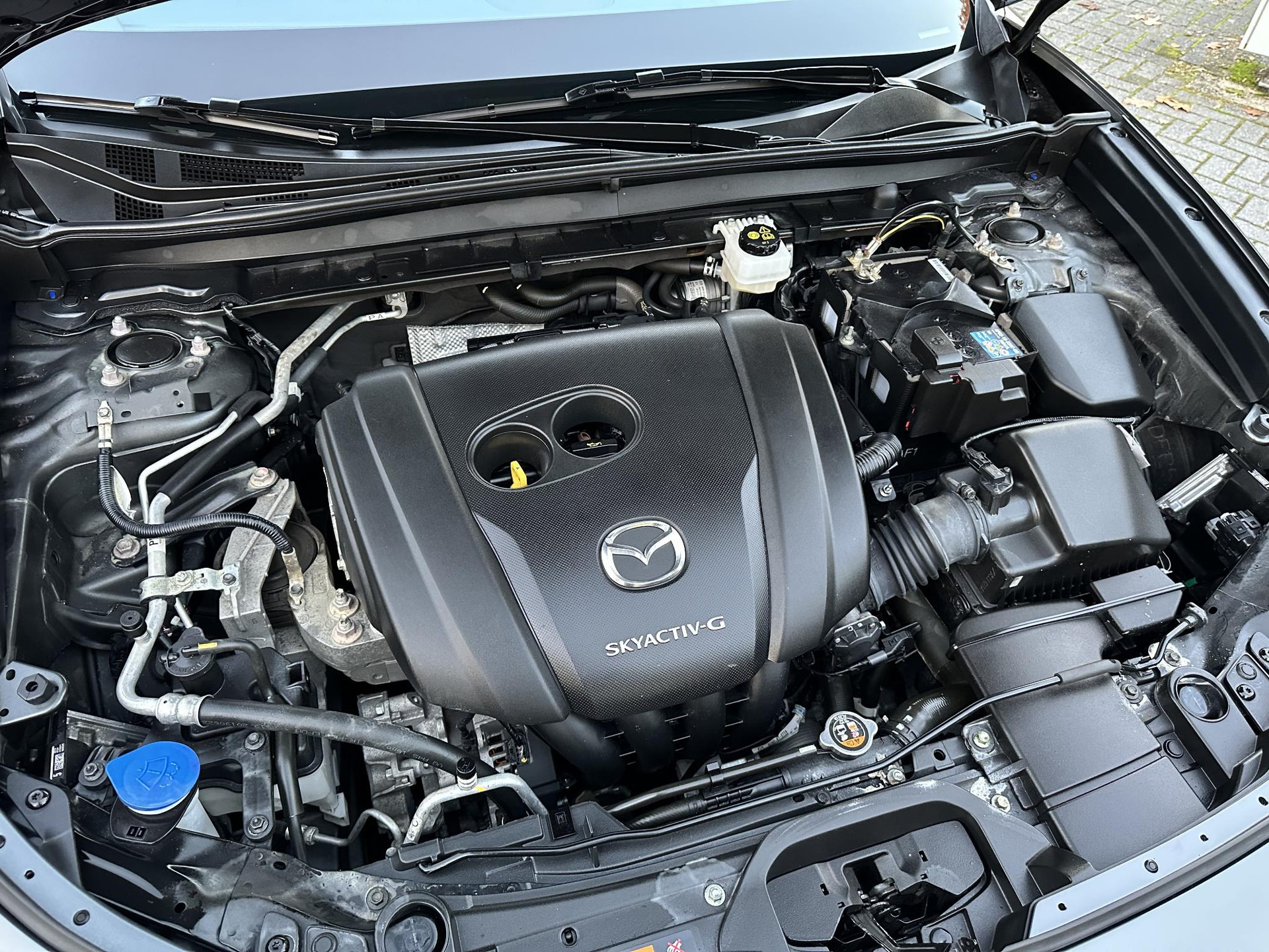 57794599-34.jpg