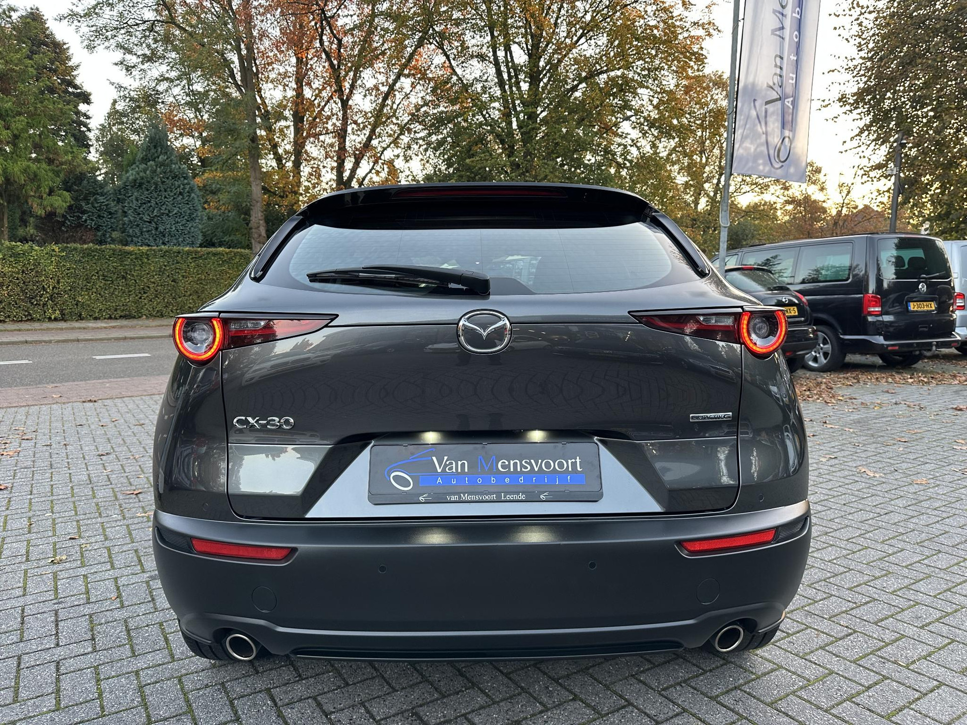 57794599-7.jpg