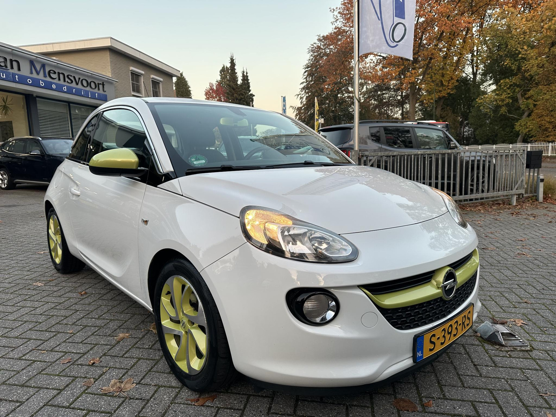 57822370-5.jpg